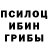 Псилоцибиновые грибы прущие грибы Igoryano
