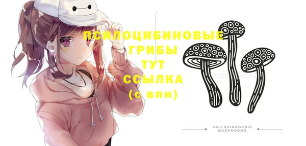 ПСИЛОЦИБИНОВЫЕ ГРИБЫ Горнозаводск