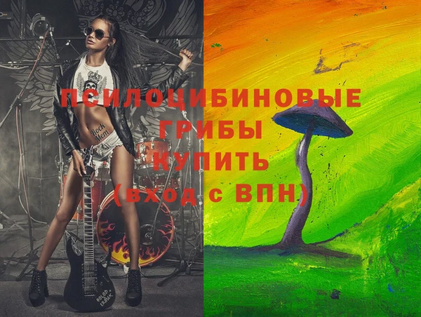 крисы Горняк