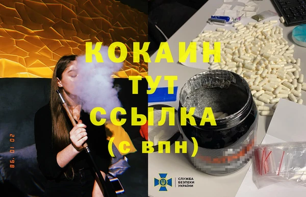 гидропоника Гусиноозёрск
