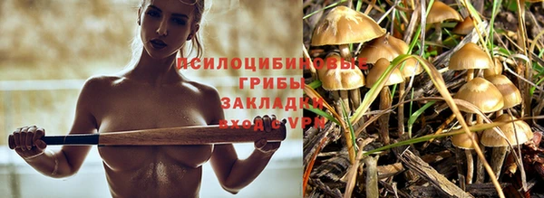 крисы Горняк