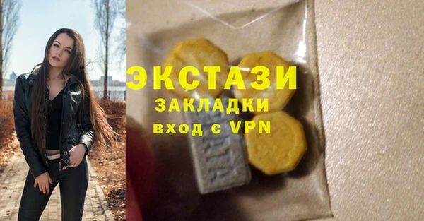 крисы Горняк