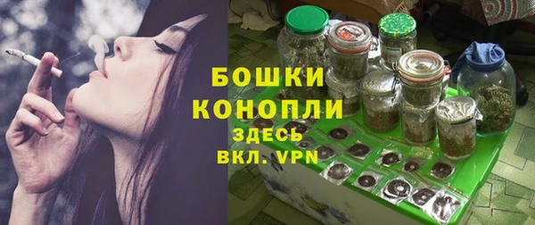 ПСИЛОЦИБИНОВЫЕ ГРИБЫ Горнозаводск