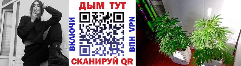 Шишки марихуана тримм  Зарайск 